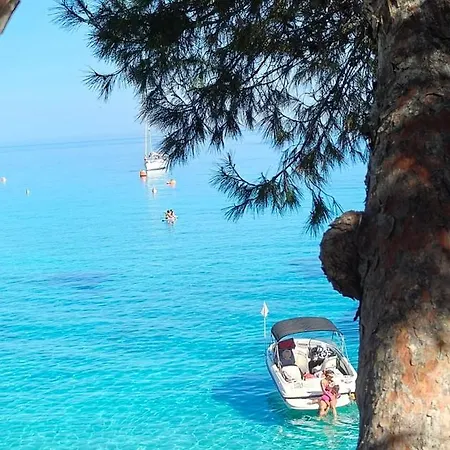 Lotus * Paralimni